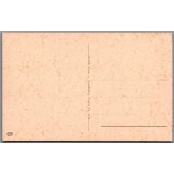 Viborg - Det Danske Hedeselskab -  Postkort - Brugt