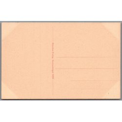 Fra den jyske Hede - Parti fra Almind - Postkort - Ubrugt