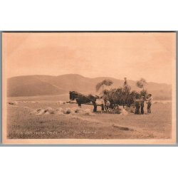 Fra den jyske Hede - Parti fra Almind - Postkort - Ubrugt