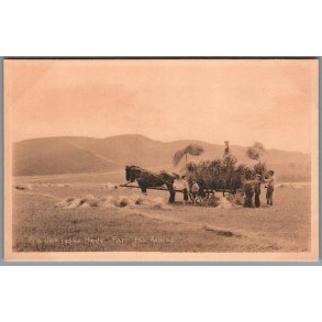 Fra den jyske Hede - Parti fra Almind - Postkort - Ubrugt