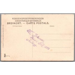 Parti fra Daubjerg - Postkort - Ubrugt