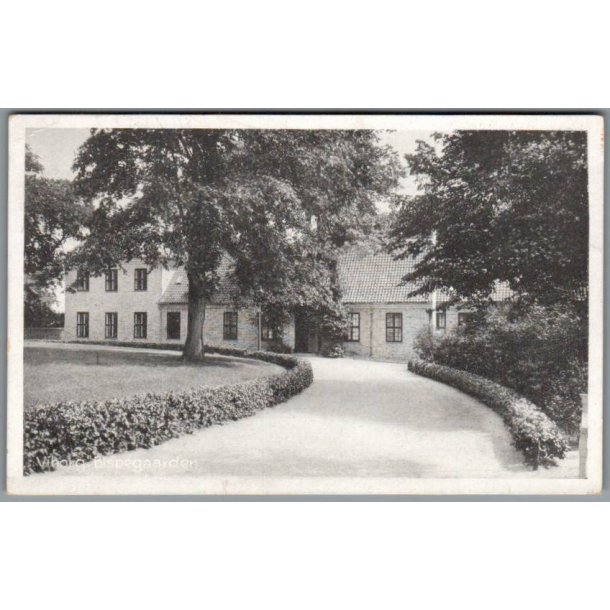 Viborg - Bispegaarden - Postkort - Brugt