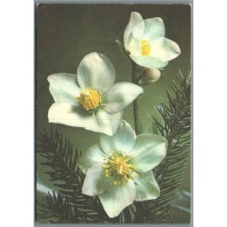 Julemrke 2009 p Postkort