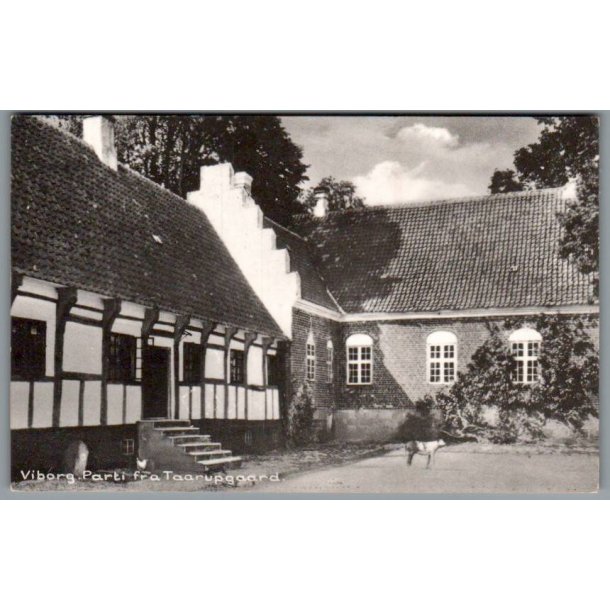 Viborg - Parti fra Taarupgaard - Postkort - Brugt