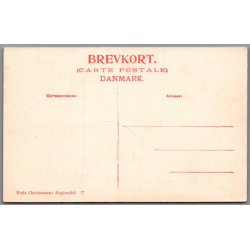 Viborg - Afholdshjemmet - Postkort - Ubrugt