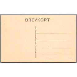 Amtsgaarden og Svaneapoteket - Viborg - Postkort - Ubrugt