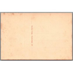 Viborg - Det gamle Raadhus - Postkort - Ubrugt