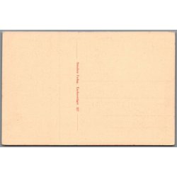 Viborg - Det gamle Raadhus - Postkort - Ubrugt