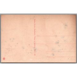 Viborg - Det gamle Raadhus - Postkort - Ubrugt