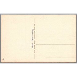 Folkekuranstalten - Hald  - Spisesalen Afd. A. - Postkort - Ubrugt