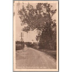 Viborg - Fra Folkekuranstalten ved Hald  - Postkort - Brugt