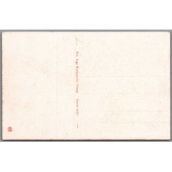 Folkekuranstalten - Hald  - set fra Vandtaarnet - Postkort - Ubrugt