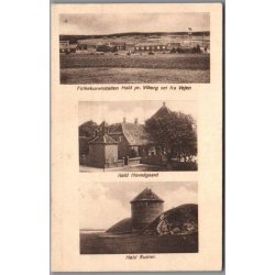 Hald - Folkekuranstalten - Hovedgaard - Ruiner - Postkort - Brugt