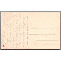 Hald - Folkekuranstalten - Hovedgaard - Ruiner - Postkort - Ubrugt