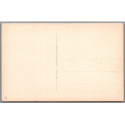 Viborg - Karnapgaarden - Postkort - Ubrugt