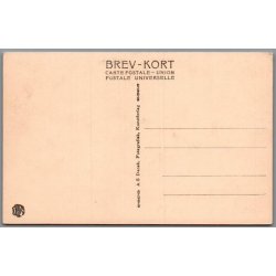 Viborg - Karnapgaarden i Mogensgade - Postkort - Ubrugt