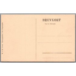 Viborg - Karnapgaarden i Sct. Mogensgade - Postkort - Ubrugt