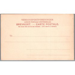 Viborg - Willesens Hus i St. Mogensgade - Postkort - Ubrugt