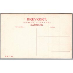 Viborg - Willesens Hus i St. Mogensgade - Postkort - Ubrugt