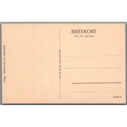 Viborg - Sct. Mogensgade - Postkort - Ubrugt