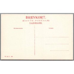 Viborg - Sct. Mogensgade - Postkort - Ubrugt
