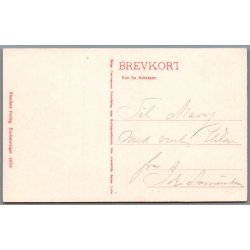 Viborg - Sct. Ibsgade - Postkort - Ubrugt