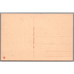 Viborg - Parti fra S�ndre M�lle - Postkort - Ubrugt