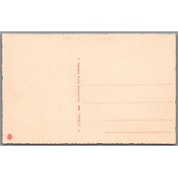 Viborg - Parti fra S�ndre M�lle - Postkort - Ubrugt