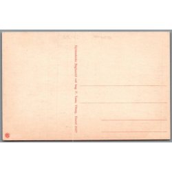 Viborg S� - Postkort - Ubrugt