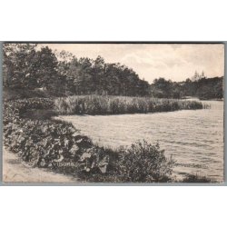 Viborg - Ved S�en - Postkort - Ubrugt