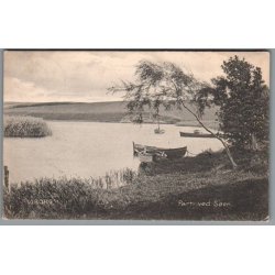 Viborg - Parti ved S�en - Postkort - Brugt 