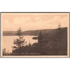 Viborg - Parti fra Ravnsbjerg - Postkort - Brugt