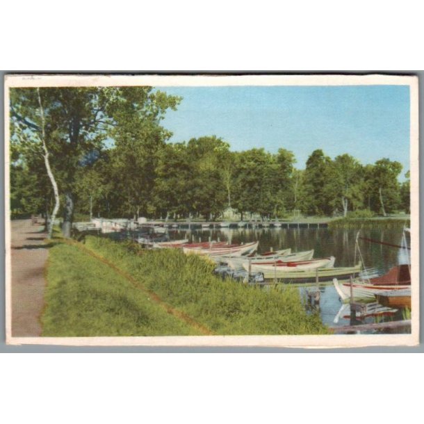 Viborg - Parti fra Borgvold - Postkort - Brugt