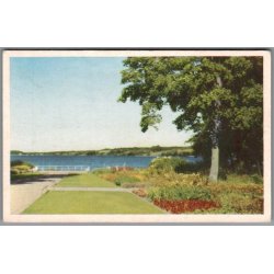 Viborg - Parti fra Borgvold - Postkort - Ubrugt