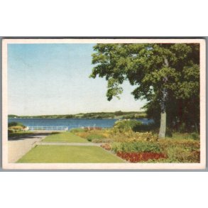 Viborg - Parti fra Borgvold - Postkort - Ubrugt