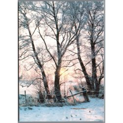 Julemrke 1994 p Postkort