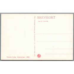 Viborg - Parti fra Borgvold - Postkort - Ubrugt