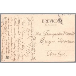 Viborg - Rindsholm Aa  - Postkort - Brugt