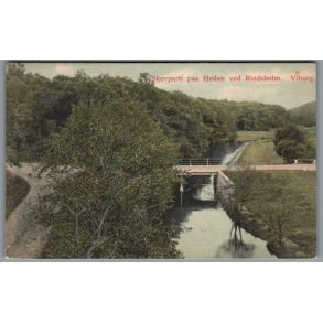 Skovparti paa Heden ved Rindsholm - Viborg - Postkort - Brugt