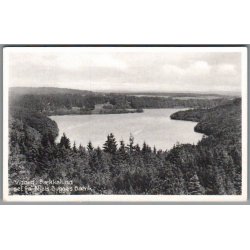 Viborg - B�kkelund set fra Bugges B�nk - Postkort - Ubrugt