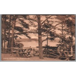 Viborg - Udsigten fra B�kkelund - Postkort - Ubrugt