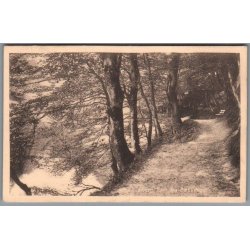 Viborg - Parti fra B�kkelund - Postkort - Brugt