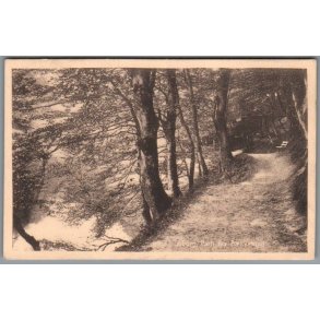 Viborg - Parti fra B�kkelund - Postkort - Brugt