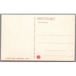 Viborg fra B�kkelund - Postkort - Ubrugt