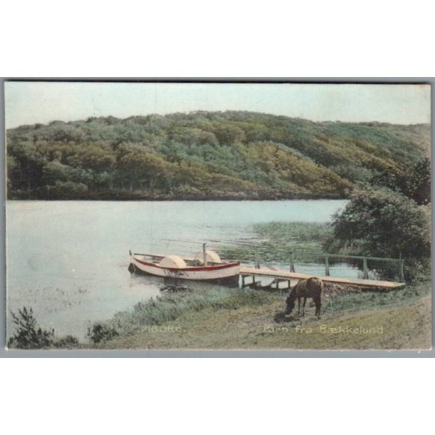Viborg fra B�kkelund - Postkort - Ubrugt