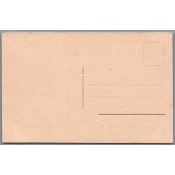 Udsigt mod Viborg set fra Landbrugsskolen - Postkort - Ubrugt