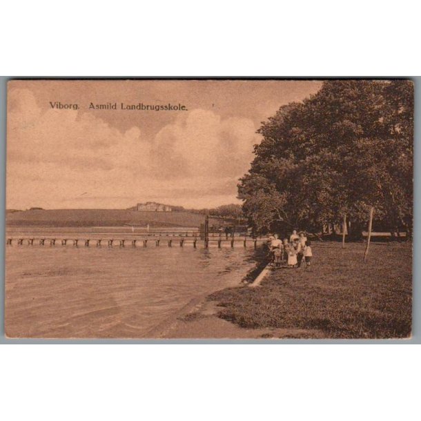 Viborg - Asmild Landbrugsskole - Postkort - Ubrugt