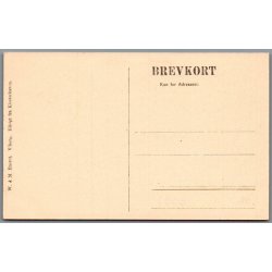 Viborg - Udsigt fra Klosterhaven - Postkort - Ubrugt