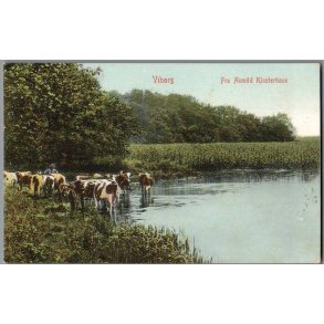 Viborg - Fra Asmild Klosterhave - Postkort - Ubrugt