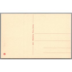 Viborg - Parti ved Salonen - Postkort - Ubrugt